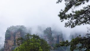Zhangjiajie 张家界